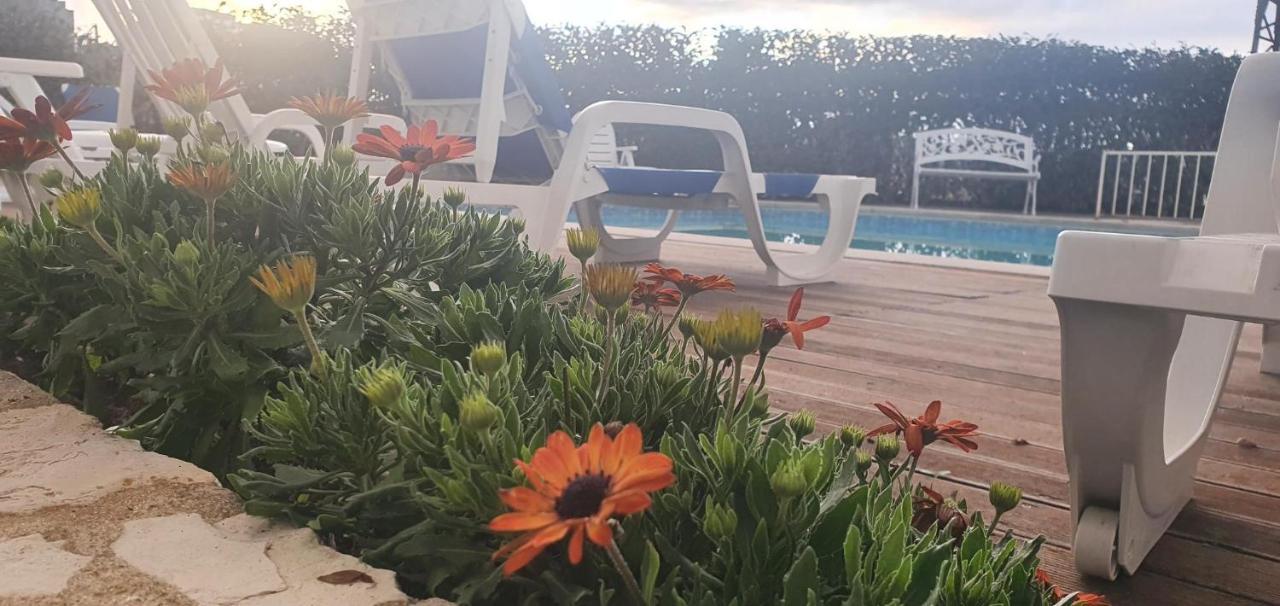 Hotel Larverde Sertã エクステリア 写真